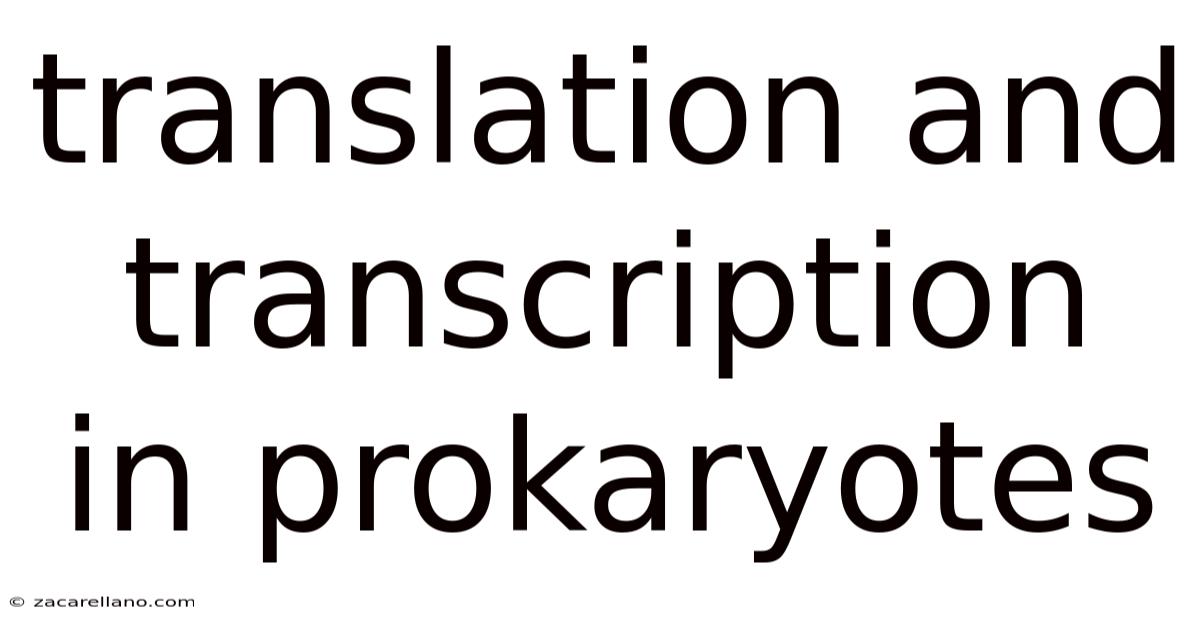 Translation And Transcription In Prokaryotes