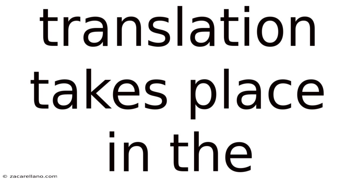 Translation Takes Place In The