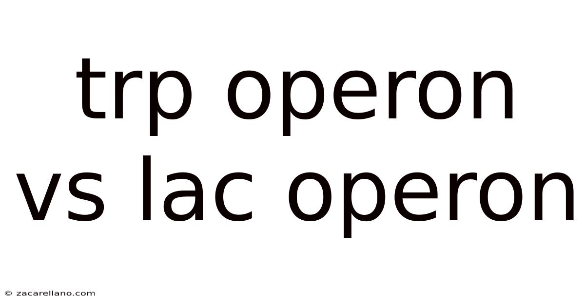 Trp Operon Vs Lac Operon