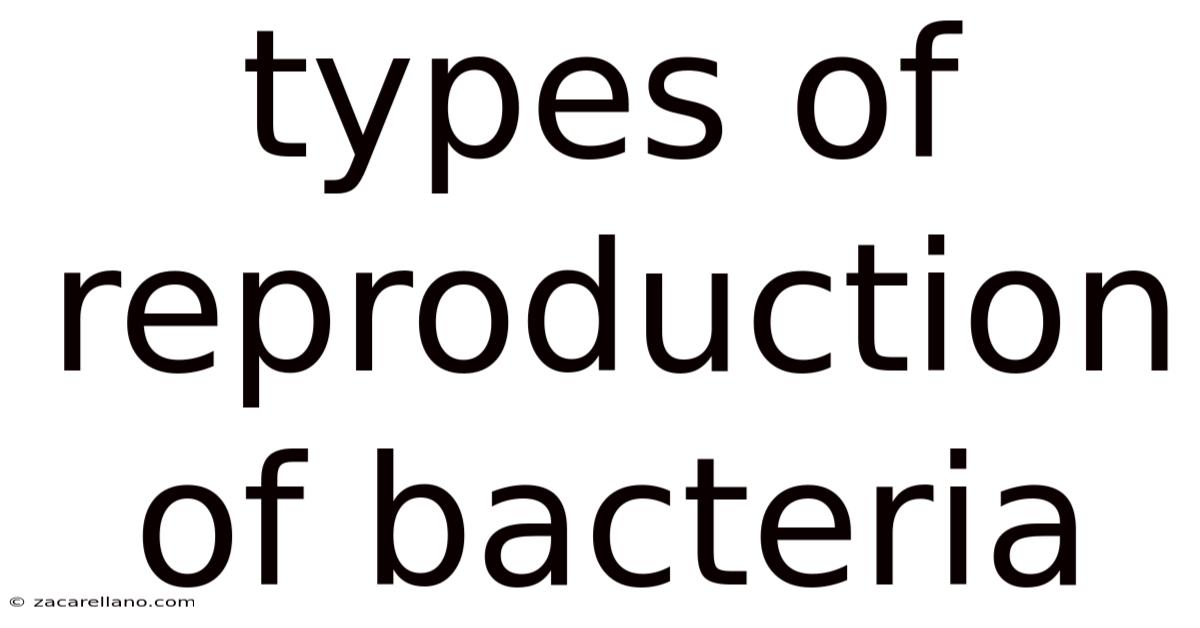Types Of Reproduction Of Bacteria