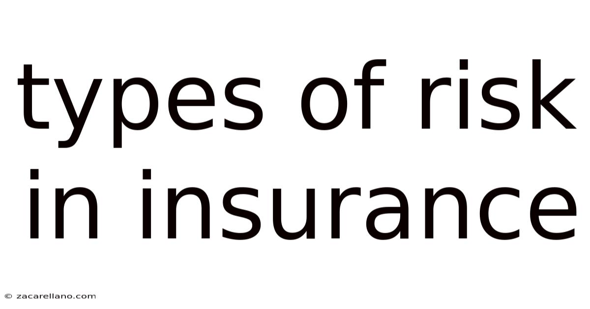 Types Of Risk In Insurance