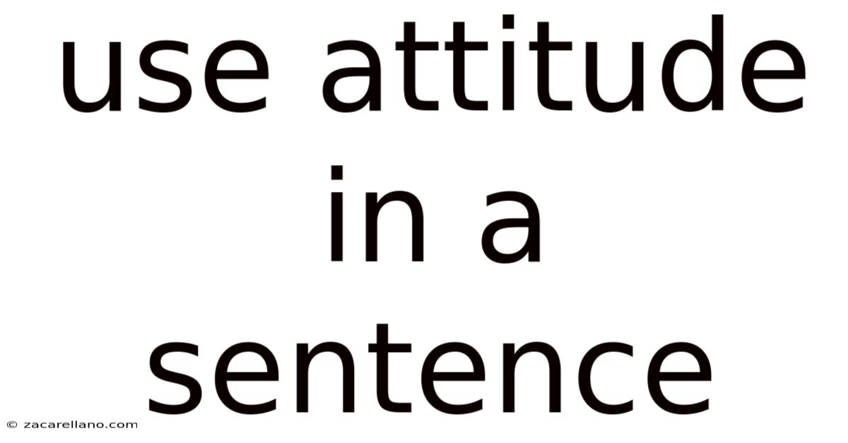 Use Attitude In A Sentence
