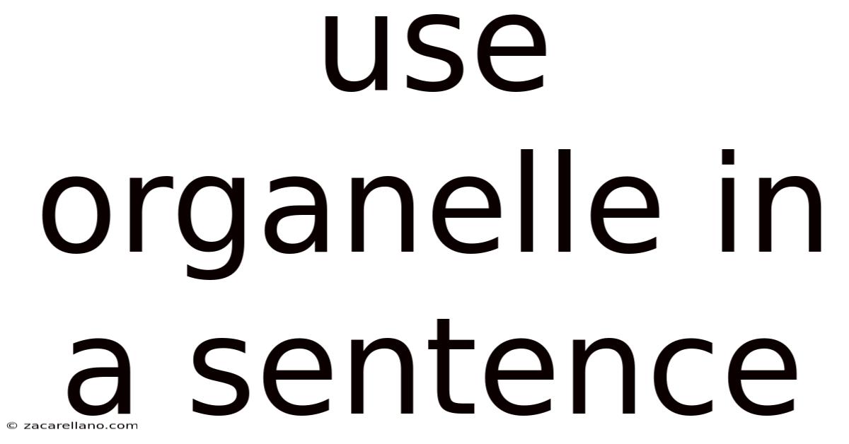 Use Organelle In A Sentence