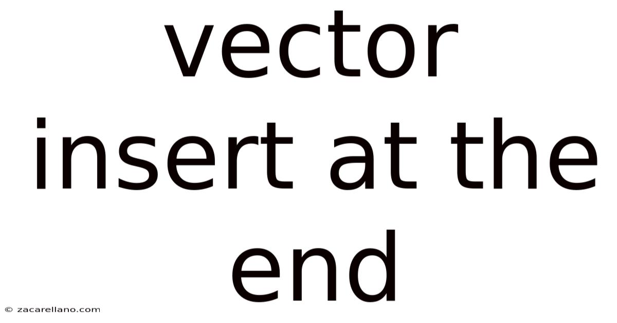 Vector Insert At The End