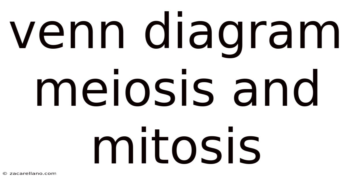 Venn Diagram Meiosis And Mitosis