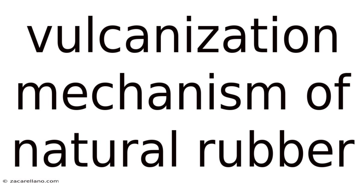 Vulcanization Mechanism Of Natural Rubber