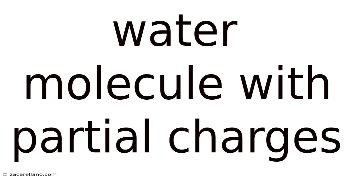 Water Molecule With Partial Charges