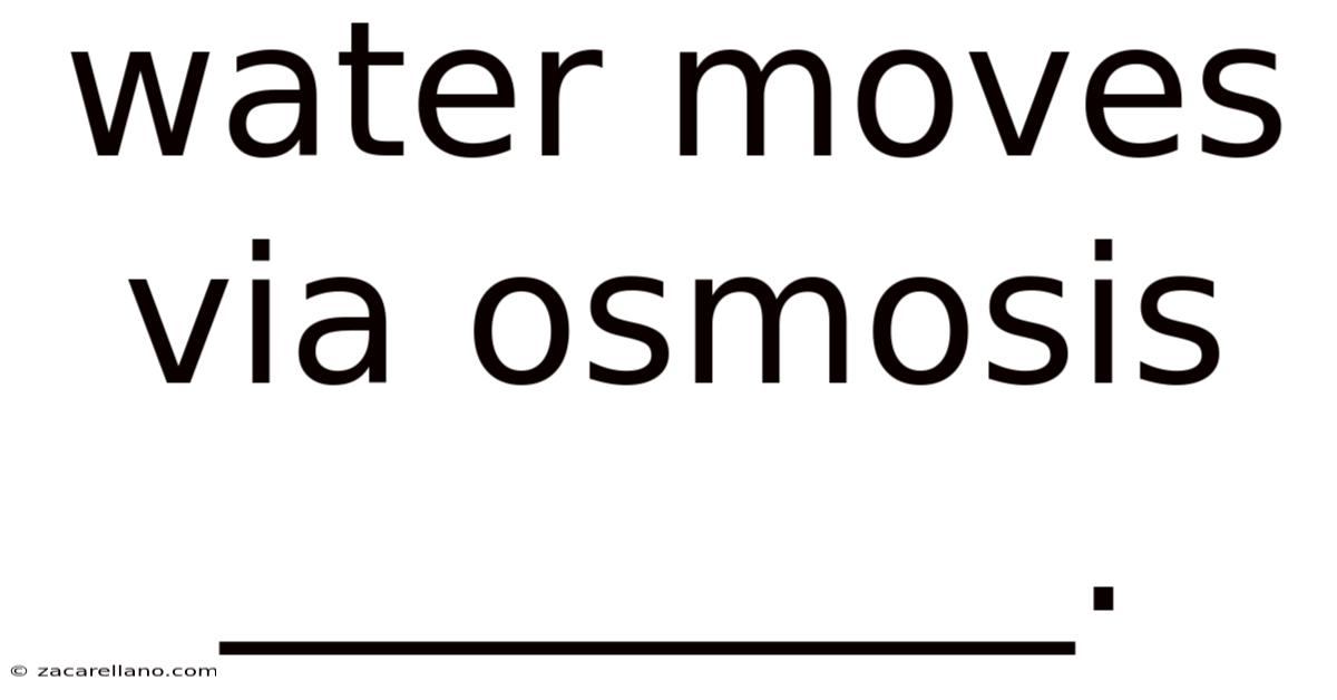 Water Moves Via Osmosis _________.