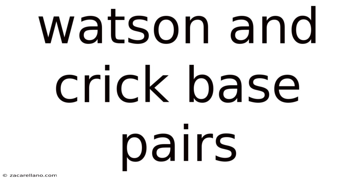 Watson And Crick Base Pairs