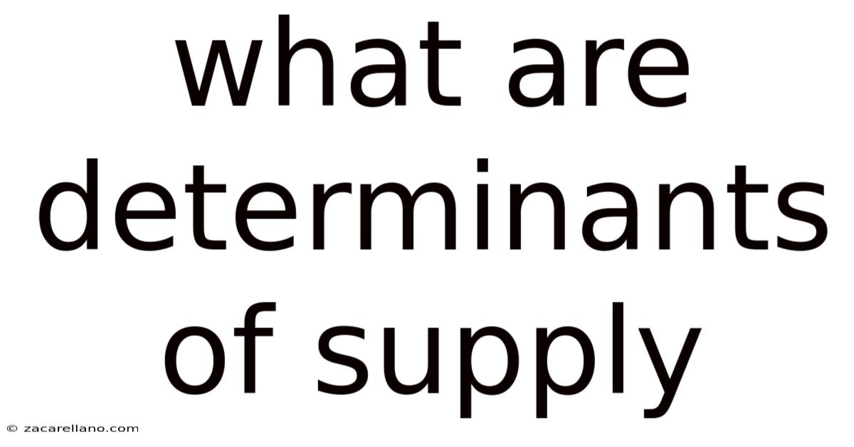 What Are Determinants Of Supply