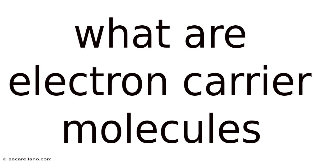 What Are Electron Carrier Molecules