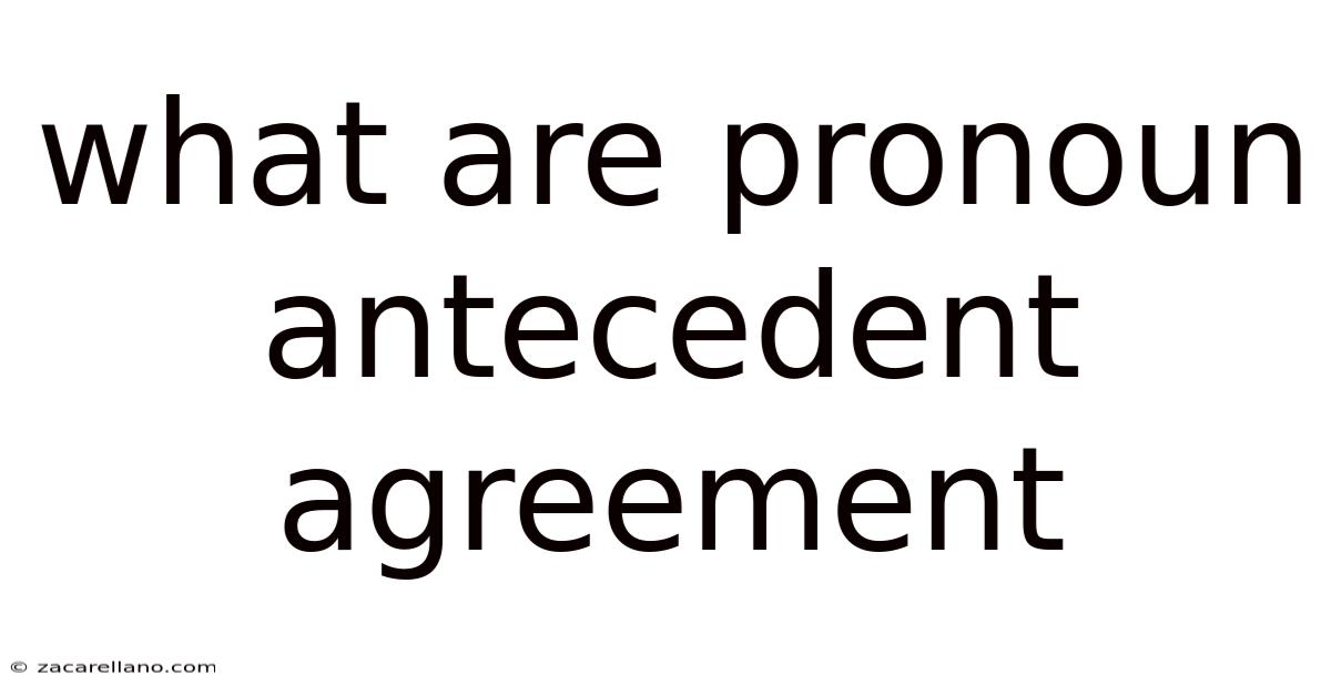 What Are Pronoun Antecedent Agreement
