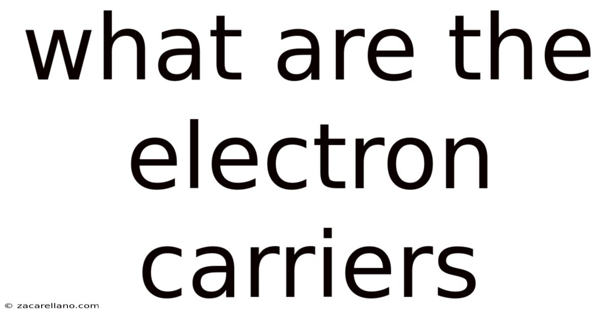 What Are The Electron Carriers