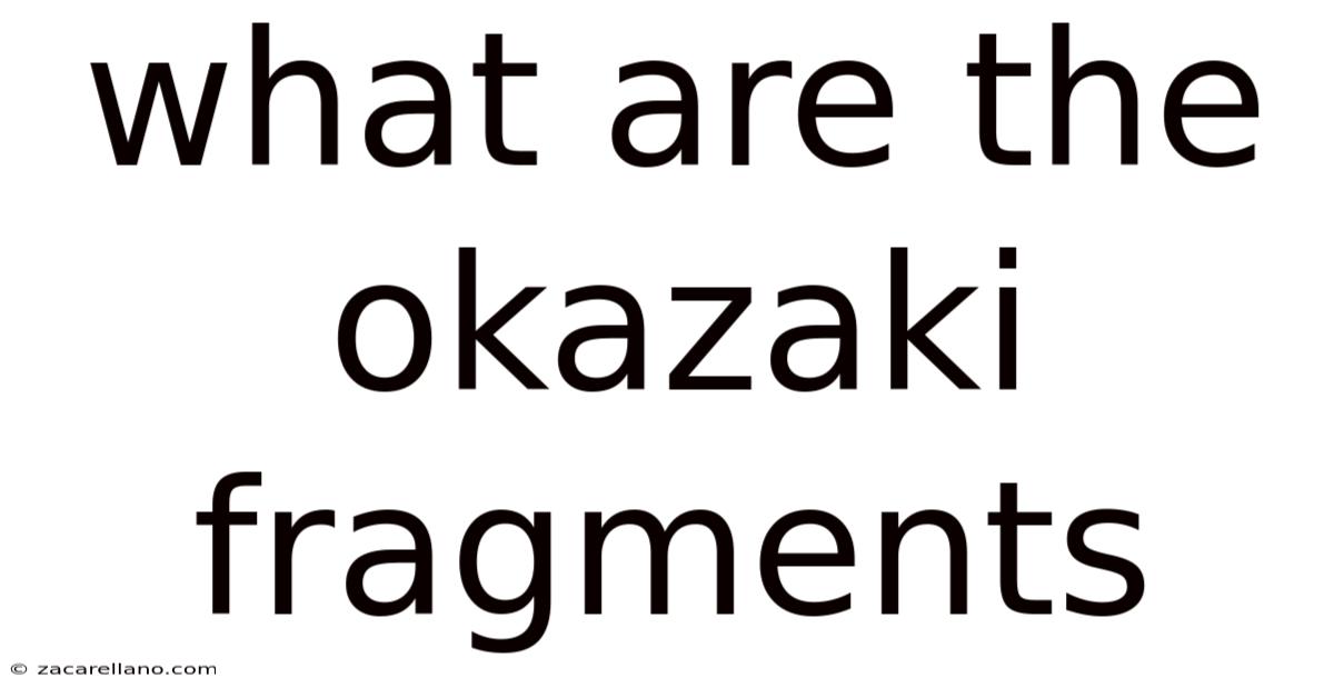 What Are The Okazaki Fragments