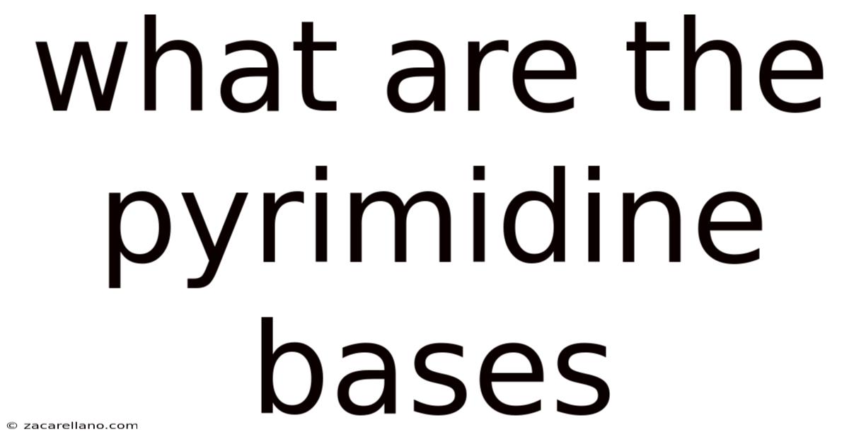 What Are The Pyrimidine Bases