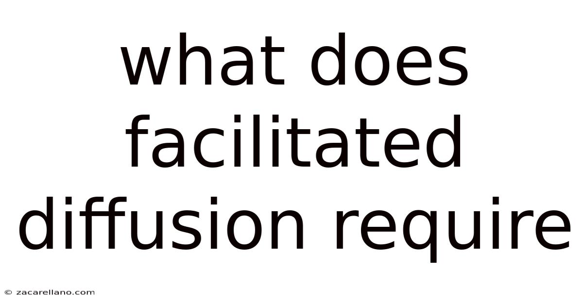 What Does Facilitated Diffusion Require