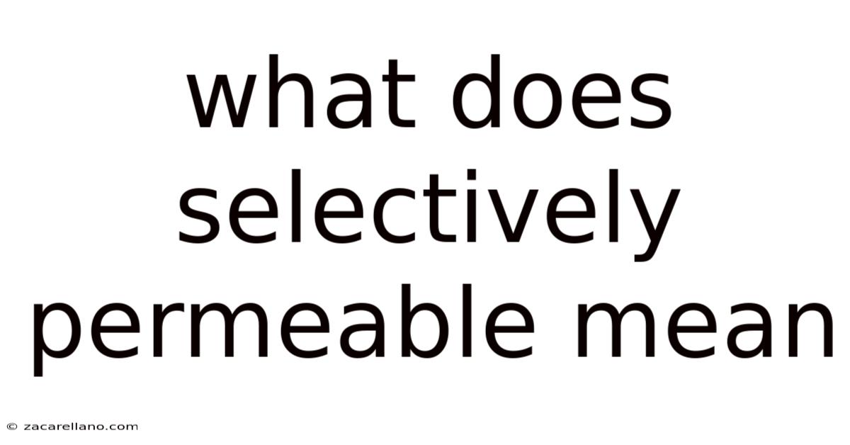 What Does Selectively Permeable Mean