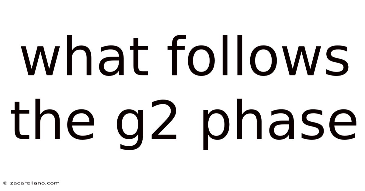 What Follows The G2 Phase