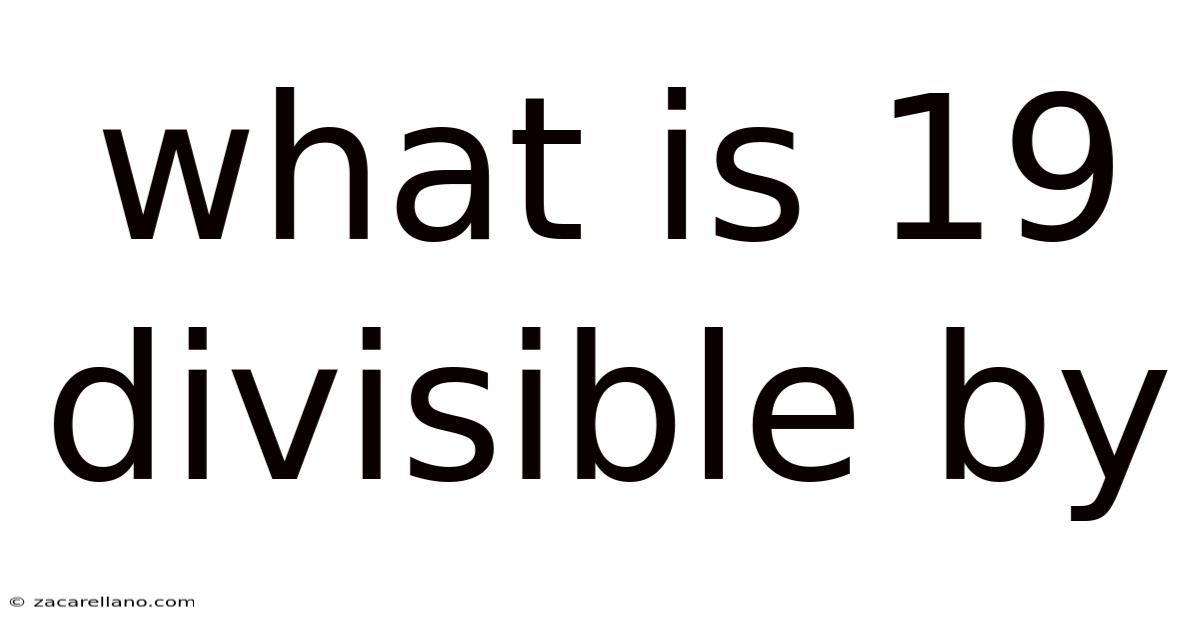 What Is 19 Divisible By