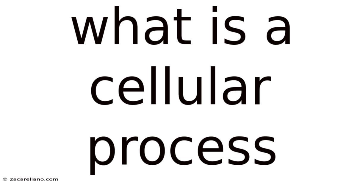 What Is A Cellular Process