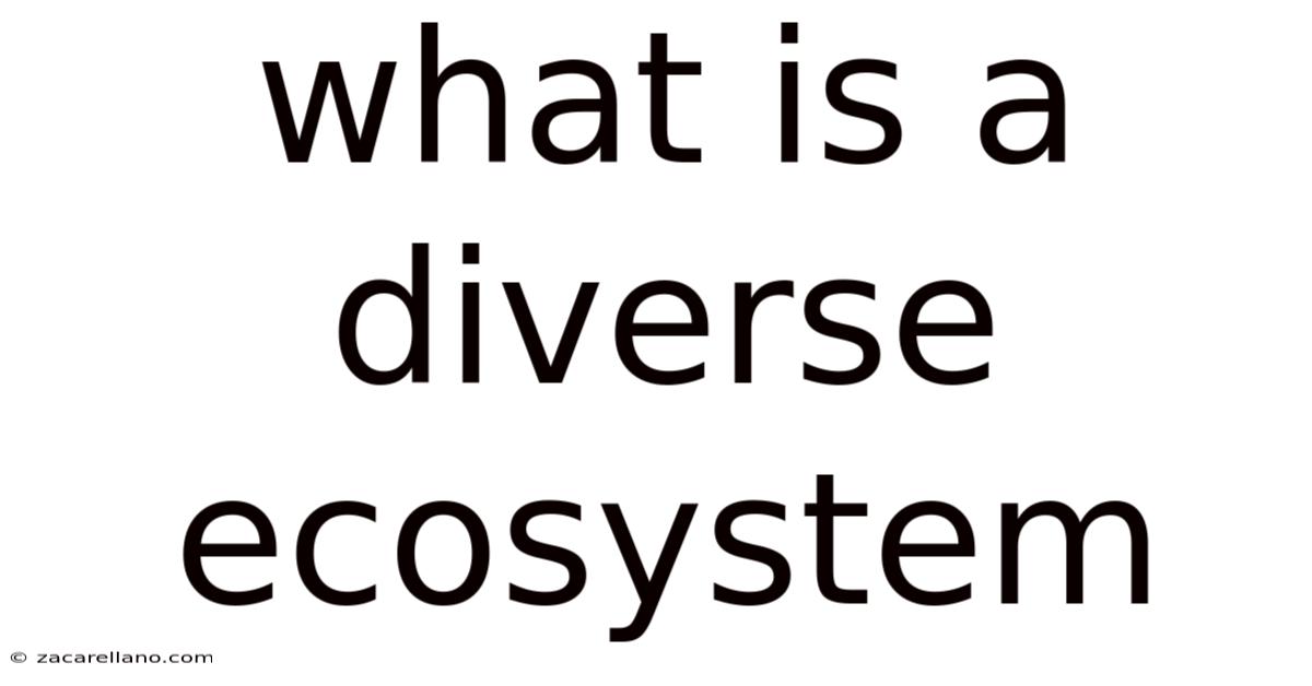 What Is A Diverse Ecosystem