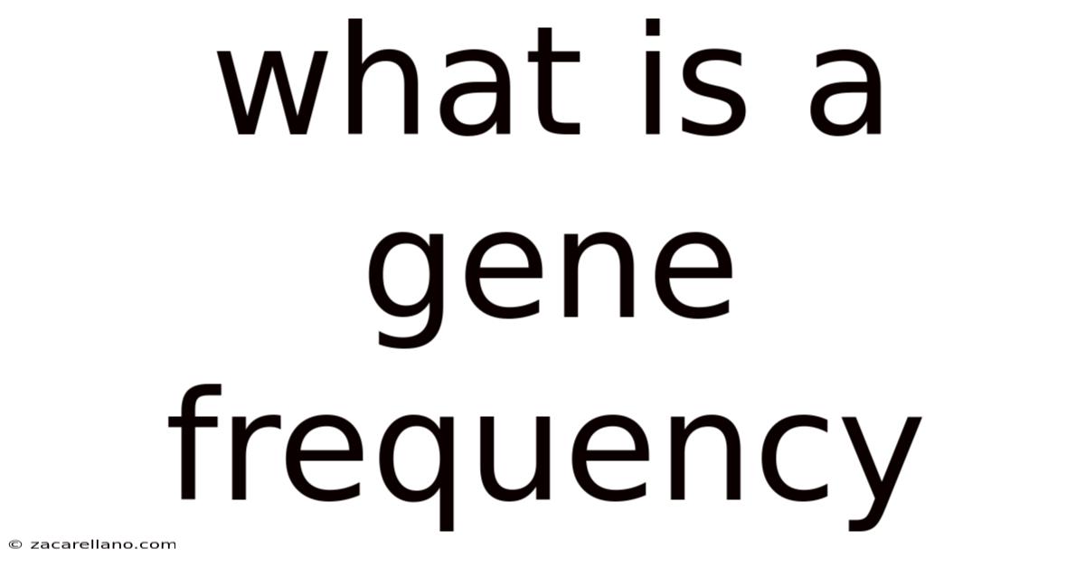 What Is A Gene Frequency