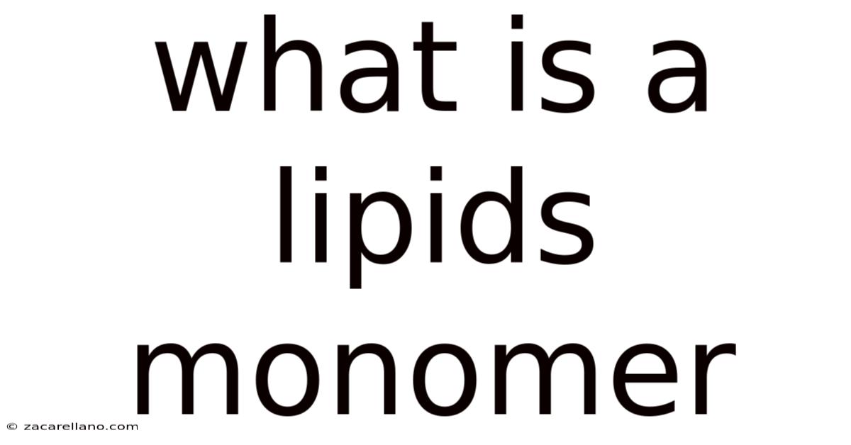 What Is A Lipids Monomer