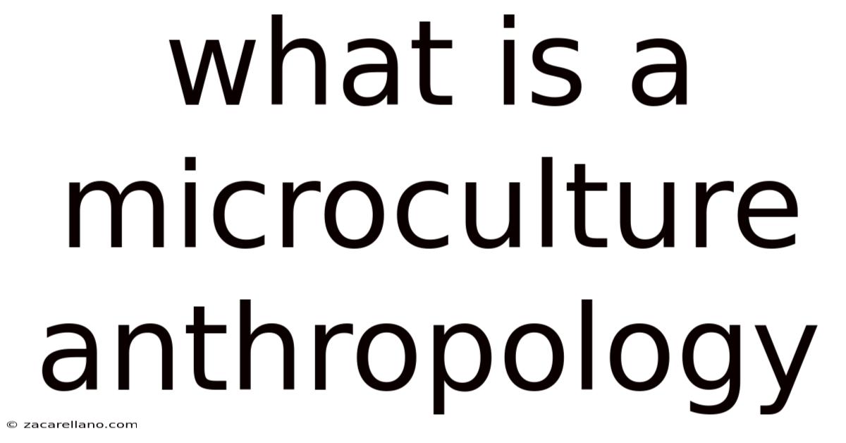 What Is A Microculture Anthropology
