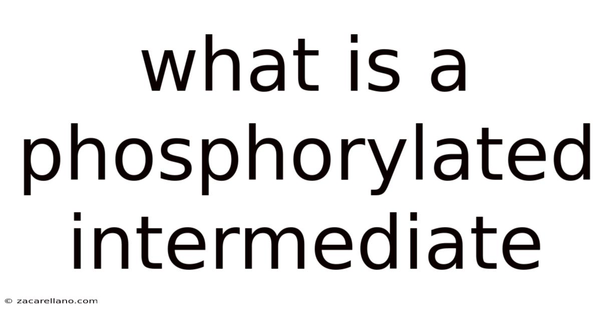 What Is A Phosphorylated Intermediate