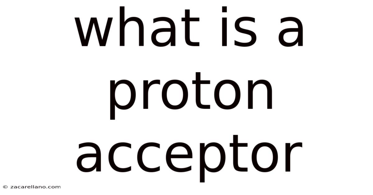 What Is A Proton Acceptor