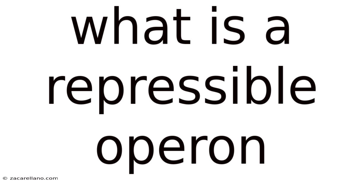What Is A Repressible Operon