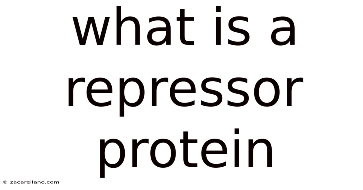 What Is A Repressor Protein