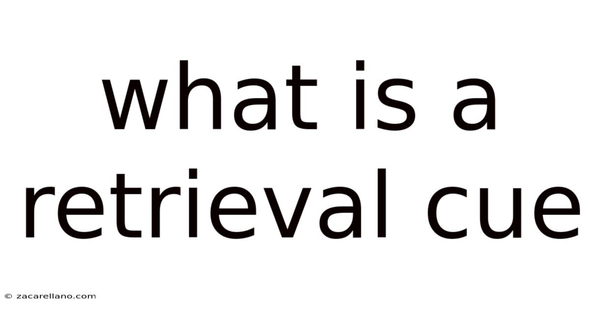 What Is A Retrieval Cue