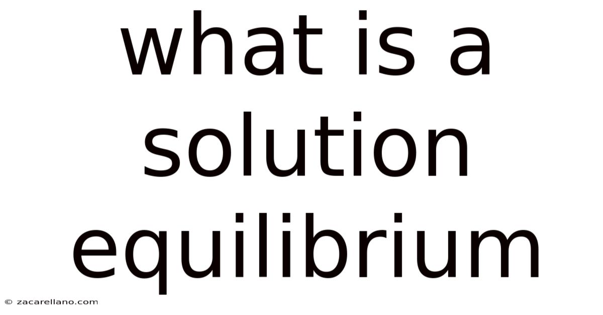 What Is A Solution Equilibrium