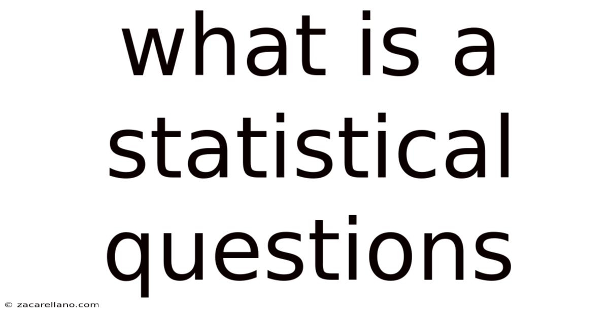 What Is A Statistical Questions