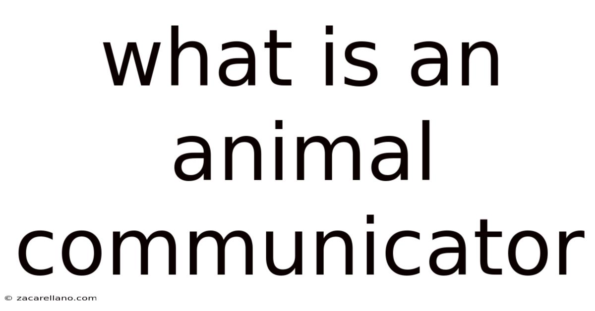 What Is An Animal Communicator