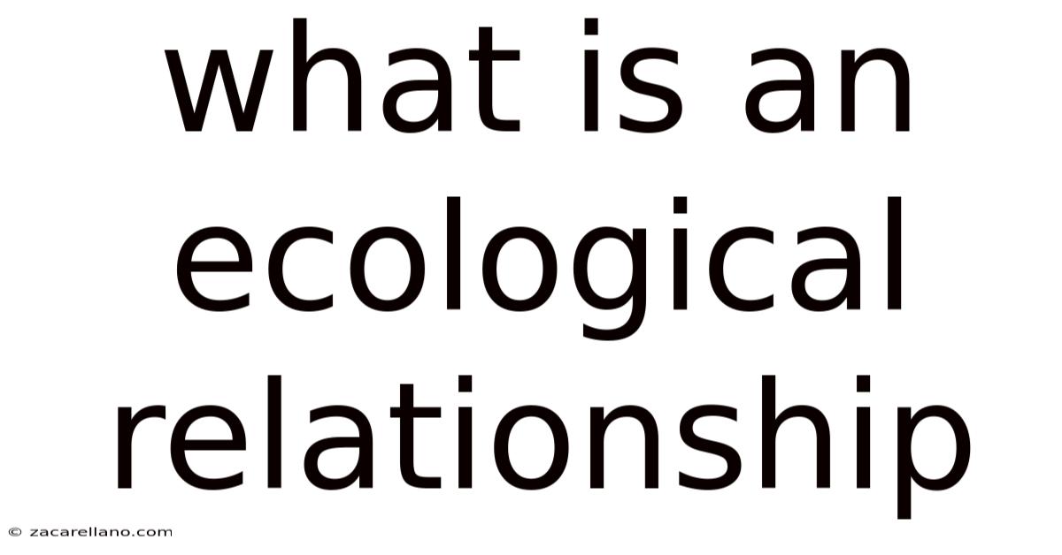 What Is An Ecological Relationship