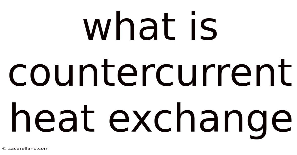 What Is Countercurrent Heat Exchange