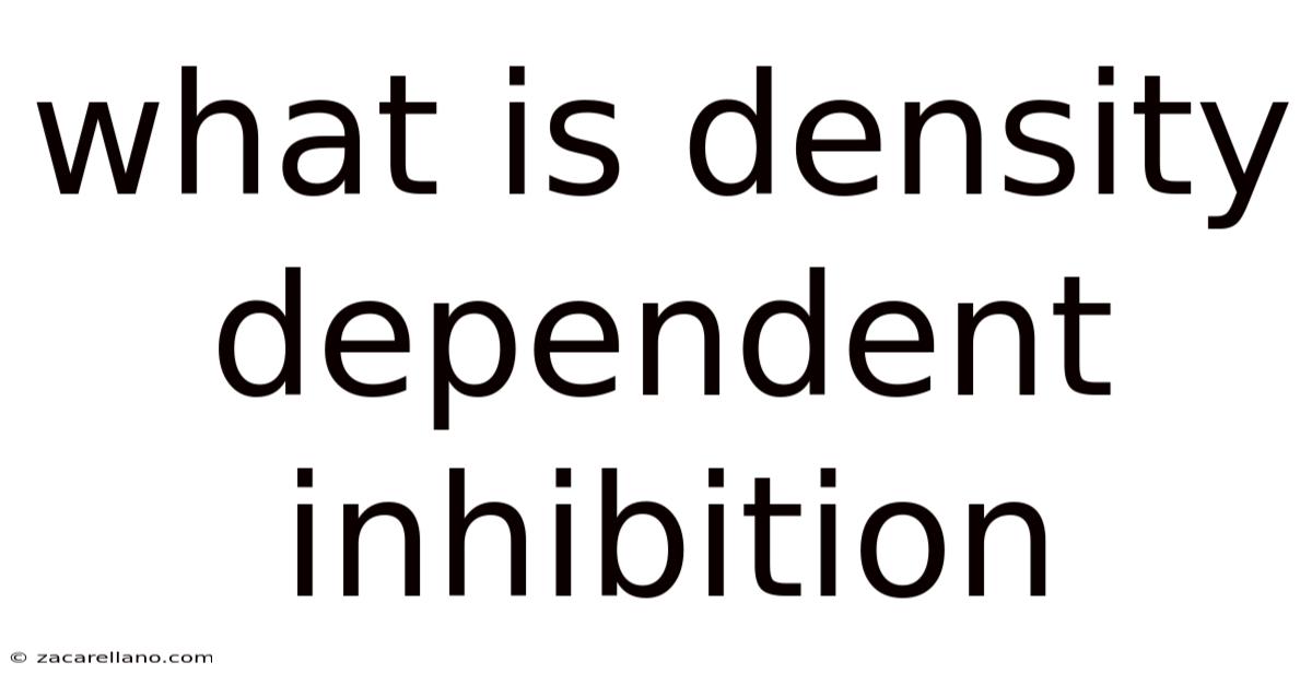 What Is Density Dependent Inhibition