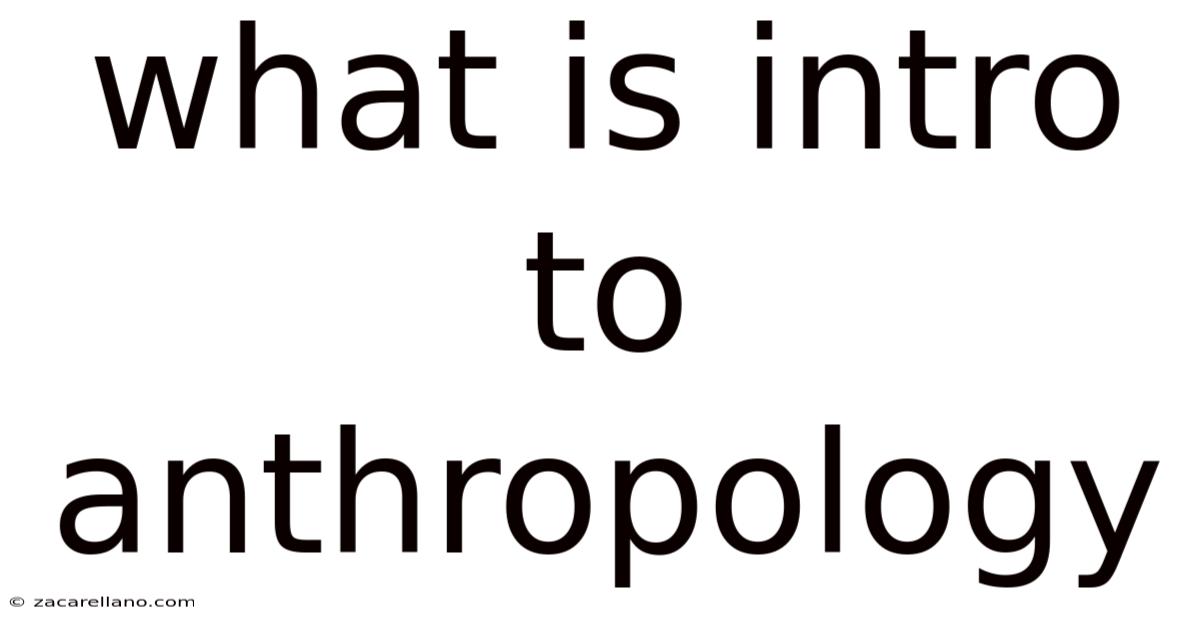 What Is Intro To Anthropology