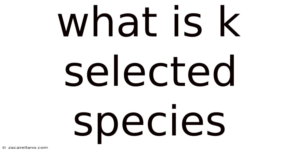 What Is K Selected Species