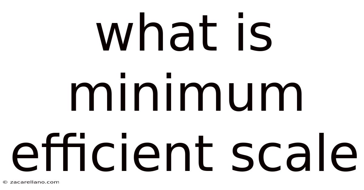 What Is Minimum Efficient Scale