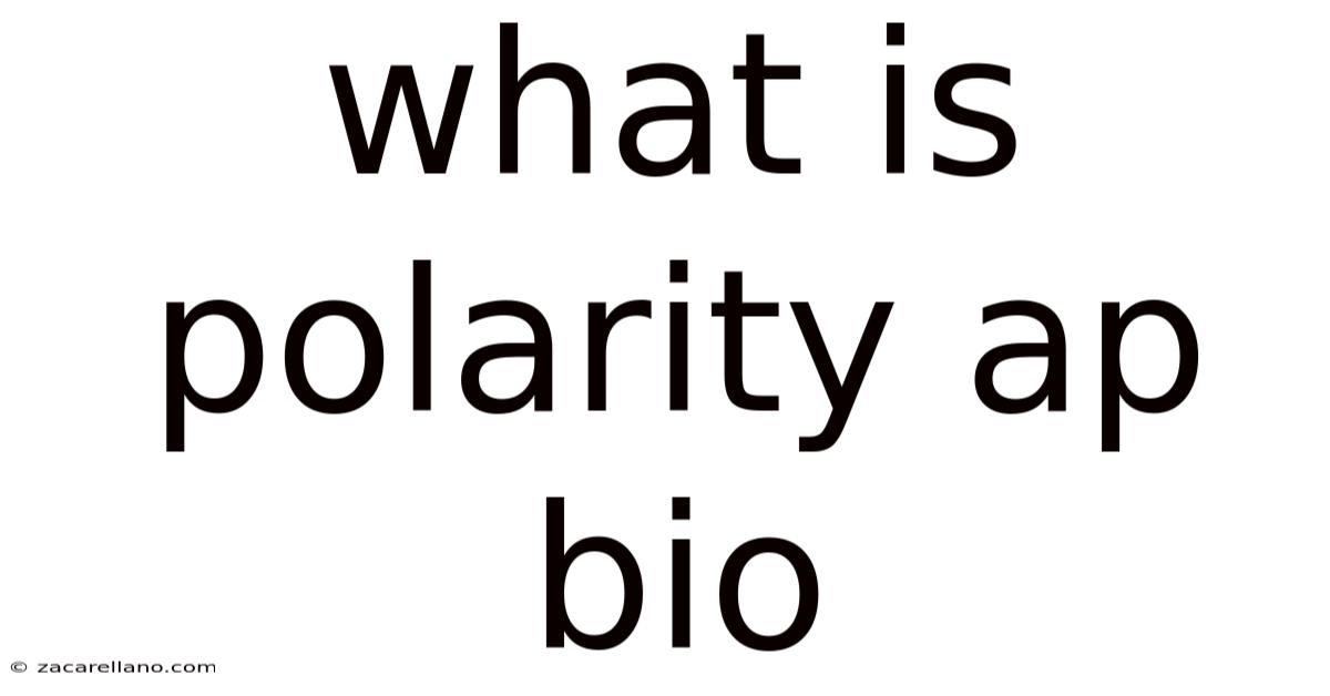 What Is Polarity Ap Bio