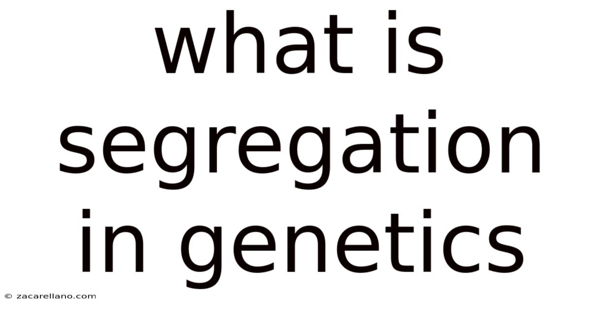 What Is Segregation In Genetics