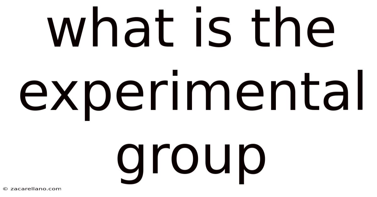 What Is The Experimental Group