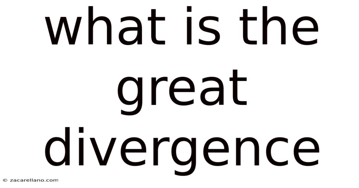 What Is The Great Divergence