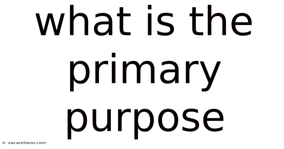 What Is The Primary Purpose