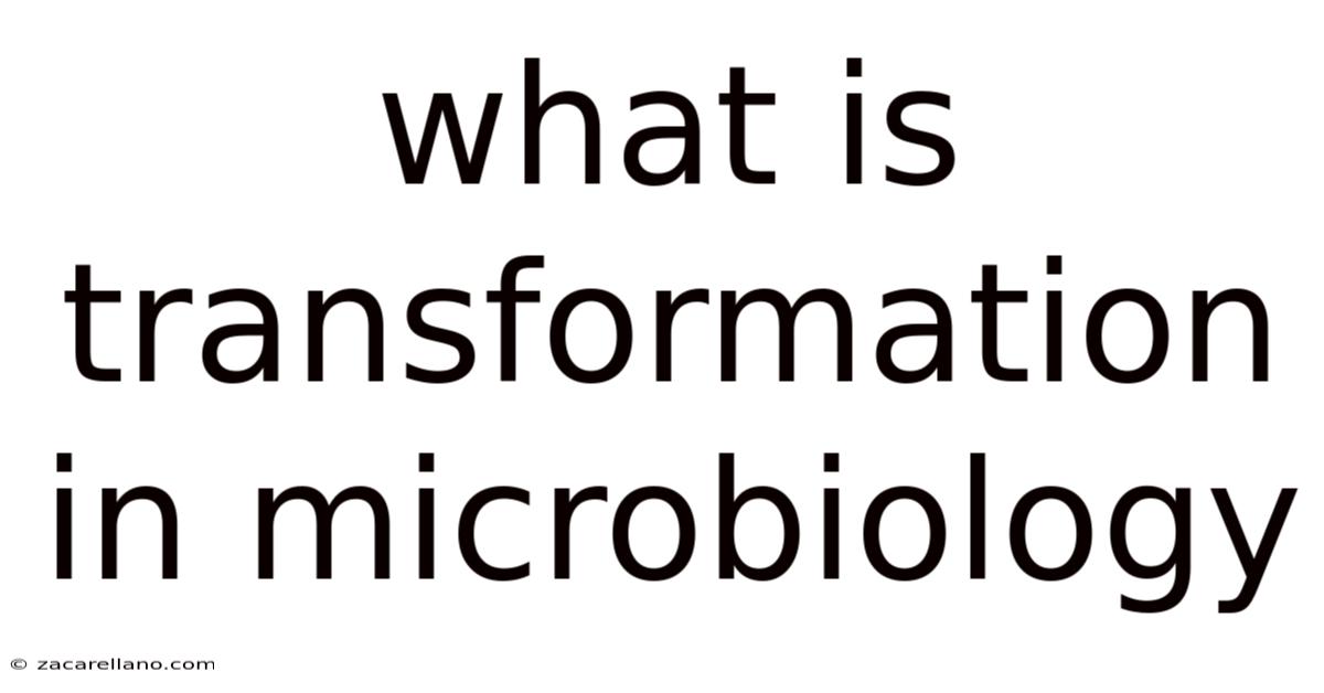 What Is Transformation In Microbiology