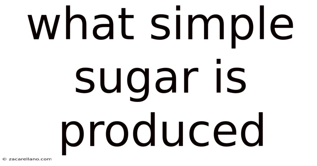 What Simple Sugar Is Produced