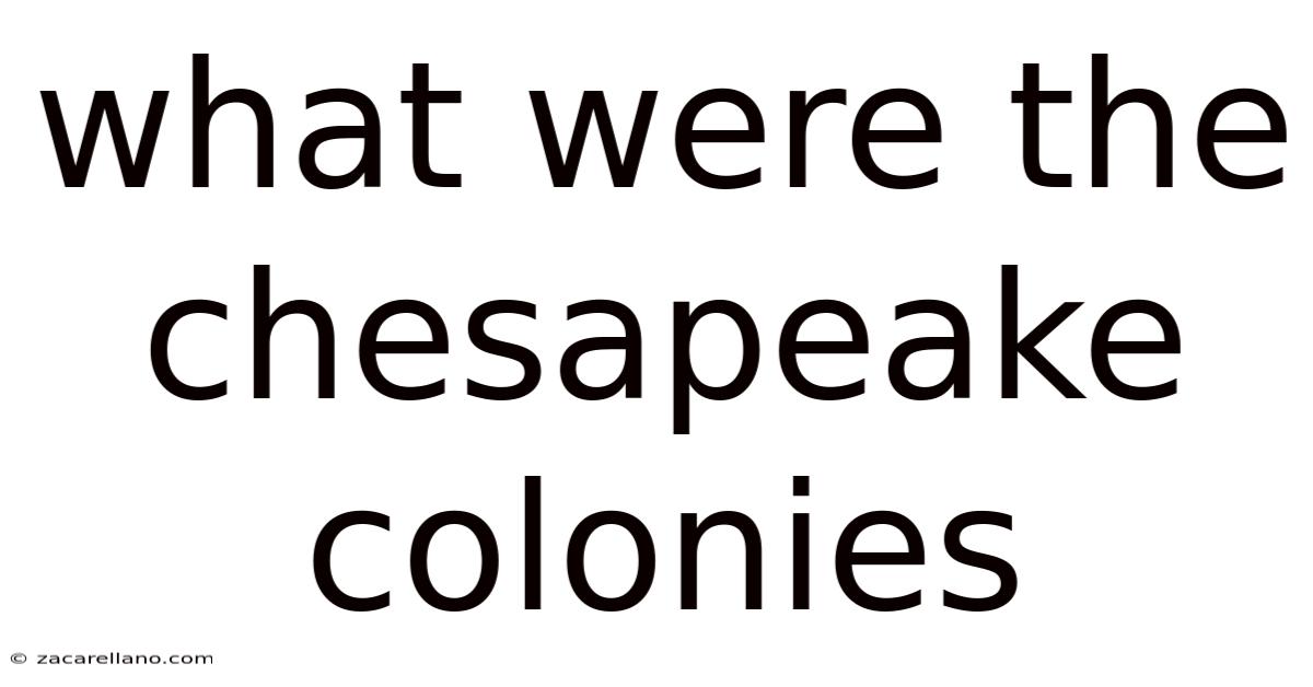 What Were The Chesapeake Colonies